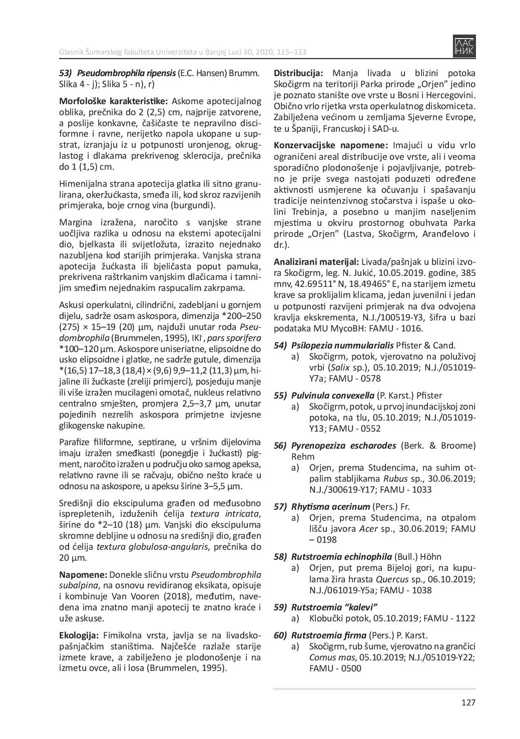 document-page-013.jpg