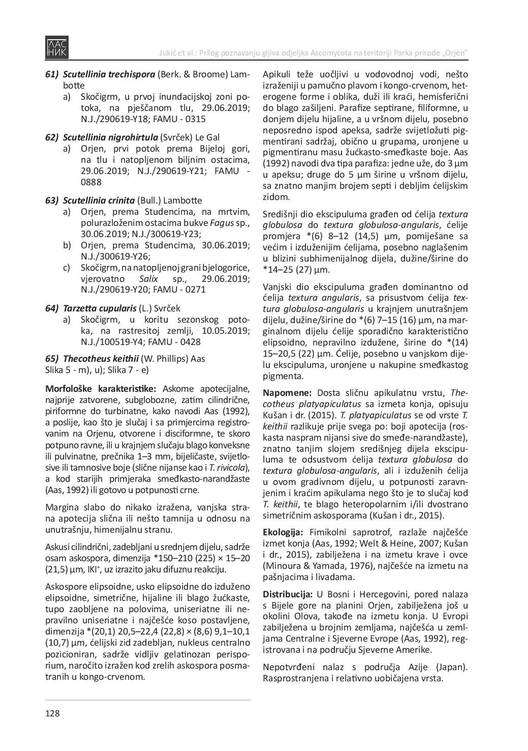 document-page-014.jpg