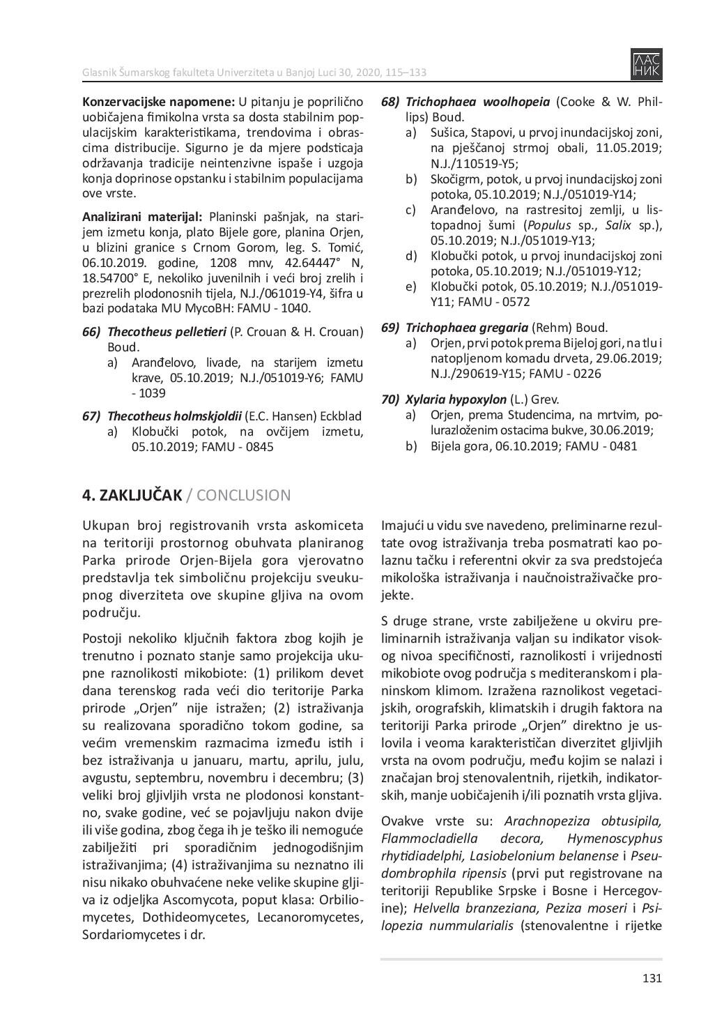 document-page-017.jpg