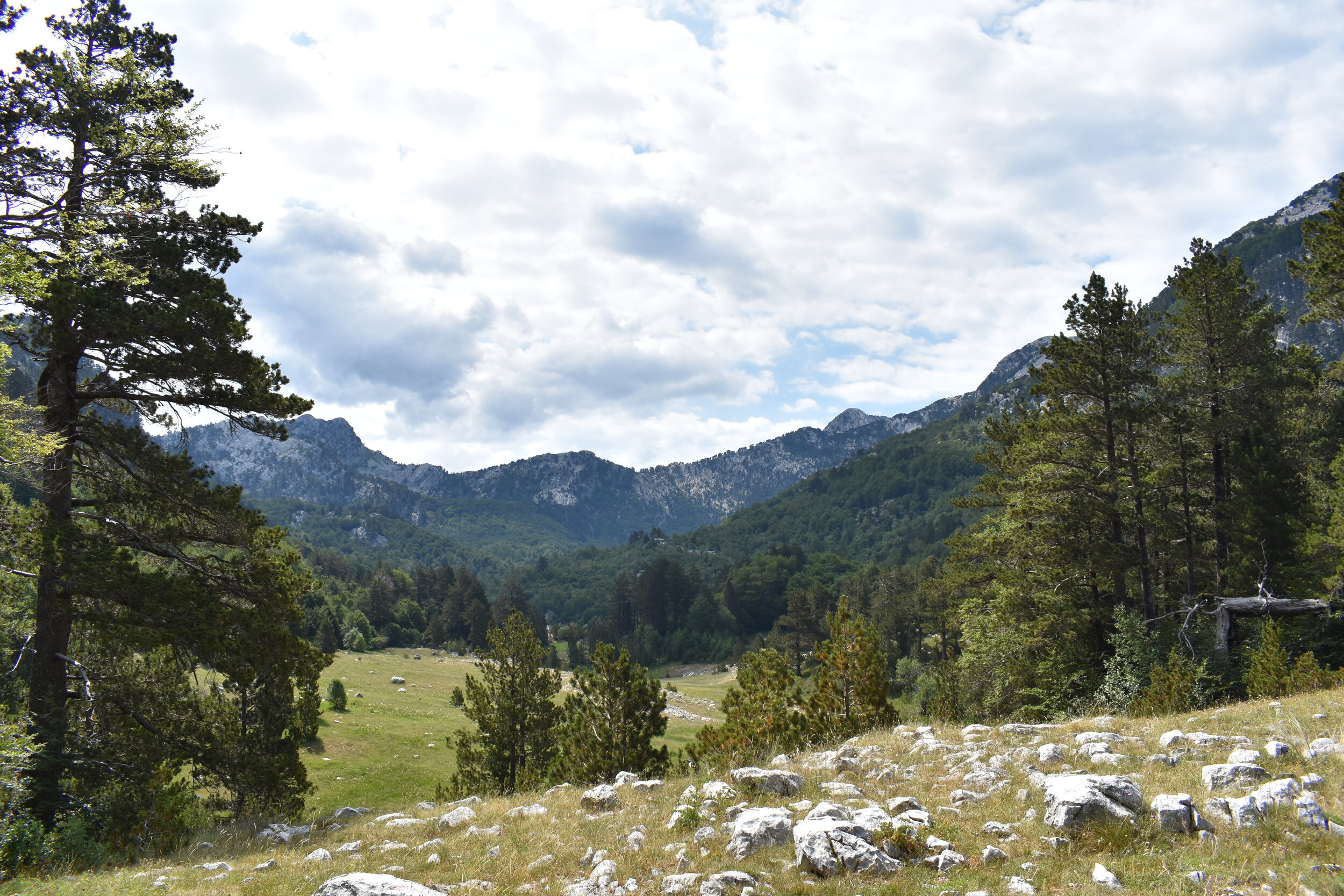 DSC_0557.JPG